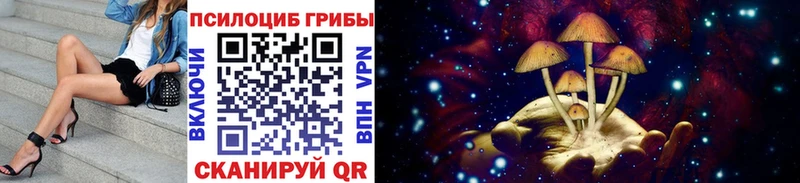 Галлюциногенные грибы мицелий  блэк спрут ССЫЛКА  Миньяр 